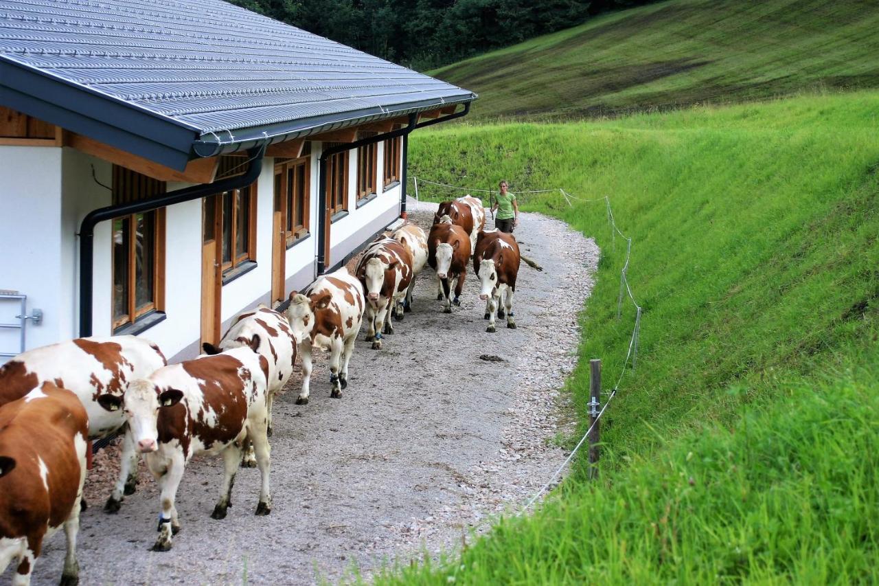 Schartlhof Villa Flachau Luaran gambar