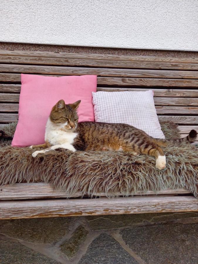 Schartlhof Villa Flachau Luaran gambar
