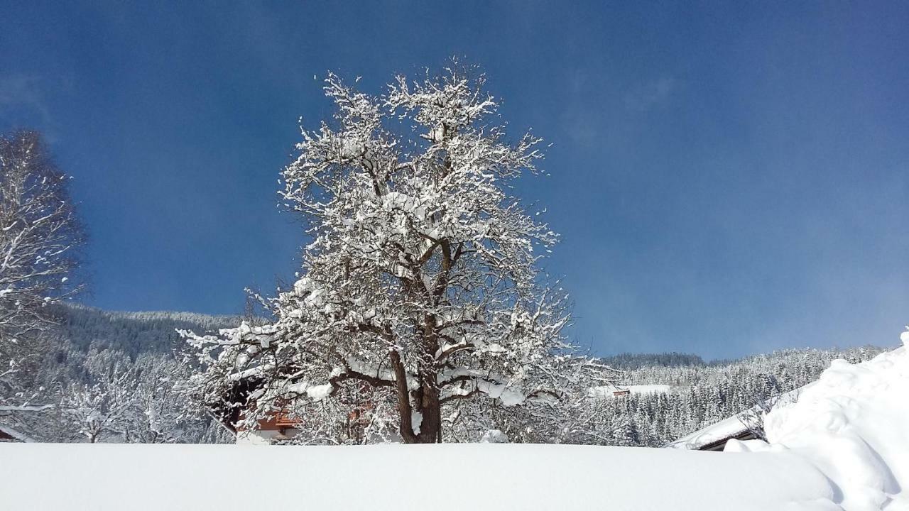 Schartlhof Villa Flachau Luaran gambar