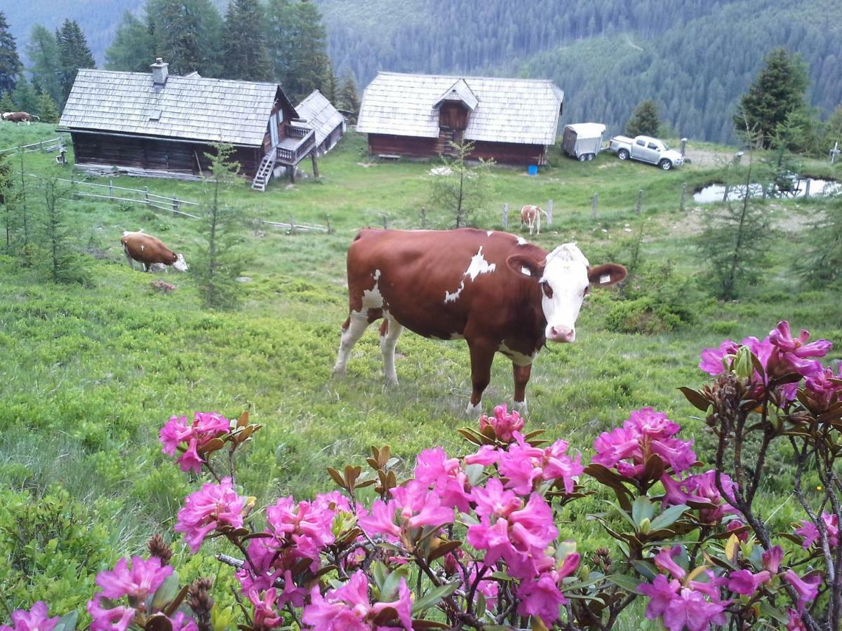 Schartlhof Villa Flachau Luaran gambar